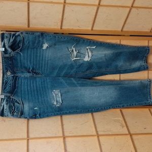 Maurices blue jeans size 20W